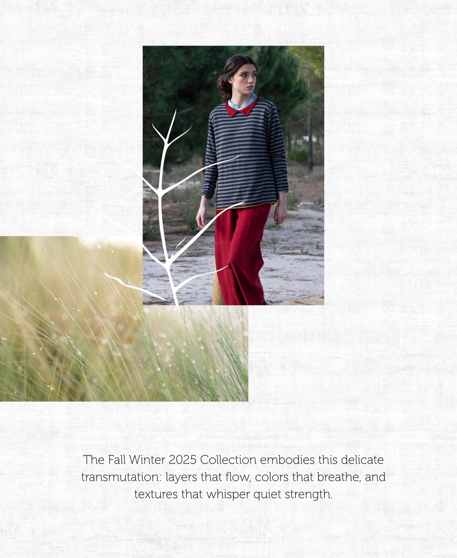 lookbook image shop_this_look_r4ctKA